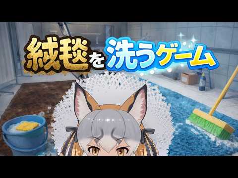 シマハイイロギツネ / Island Fox