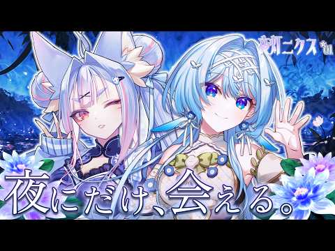 白鳥怜奈 / Shiratori Rena