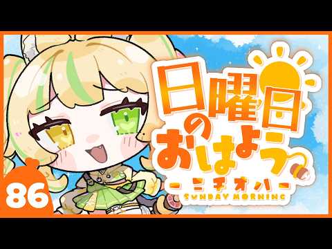 座敷わらび / Zashiki Warabi
