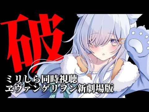 熊野ふぁい / Kumano Phay ch