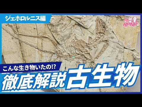 白亜マウルの古生物学チャンネル
