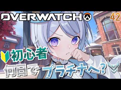 猫羽ころんNekohakoron