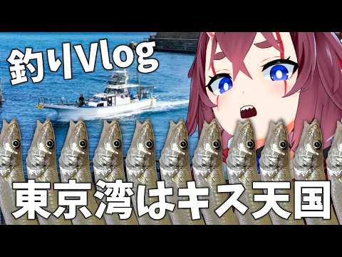 【釣りVlog】東京湾はキスが爆釣れ!釣って捌いて食べるまで【おでかけV】#釣り #vlog #vtuber