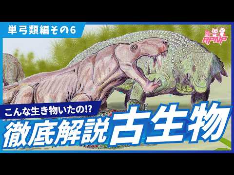 白亜マウルの古生物学チャンネル