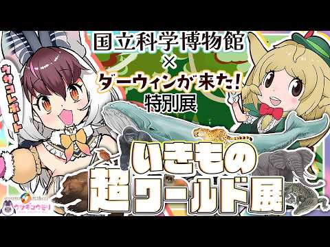 ウサギコウモリ / Brown Long-eared Bat