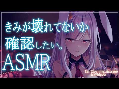 Marumochi Tsukimi / 丸餅つきみ