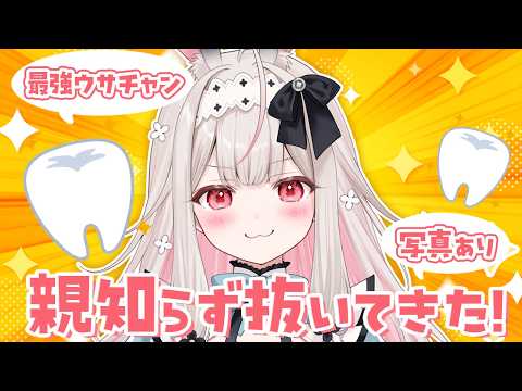 Nonochi Ch. 兎ノ花ののち