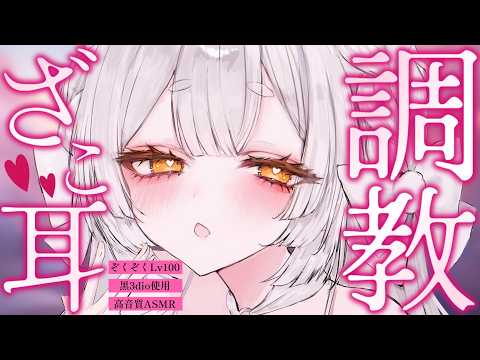 Toto Ch.  兎神とと
