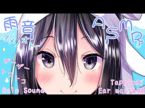 Michi Channel-せいかみち-