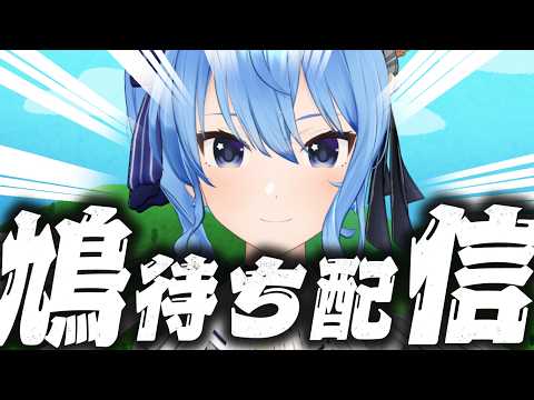 【鳩待ち配信】全ての伝書鳩を引き受ける配信🕊【星街すいせい / #ほしまちすたじお】