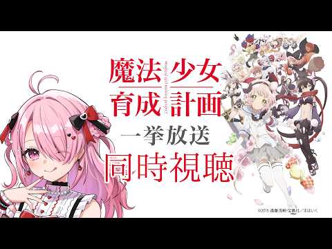江波キョウカのぴよぴよch. / パレプロ