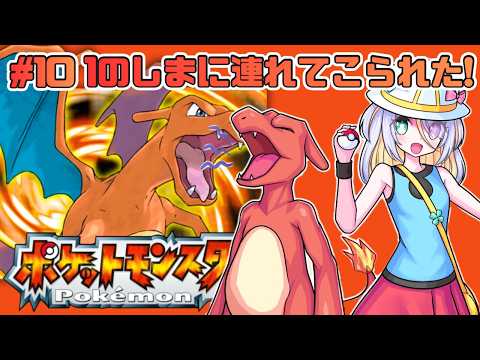 蜂蜜ぷりん / Hachimitsu Purin