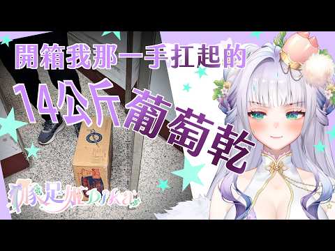 【★面對現實台Part2★】DIKA豚足姬 (·⚇·)今天繼續來家庭代工分裝14公斤葡萄乾...(驚恐)今天斗內可能有葡萄乾掉落...(???)🤢