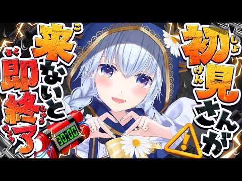 熊野ふぁい / Kumano Phay ch