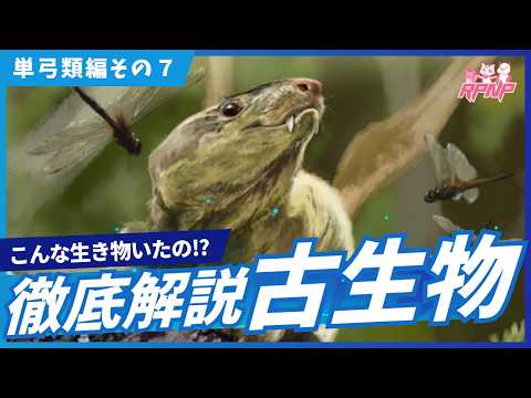 白亜マウルの古生物学チャンネル