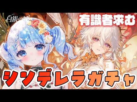 白樺るるは