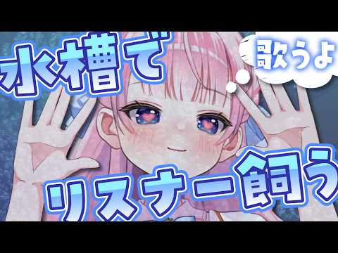 音沙汰あんな / Anna Otosata