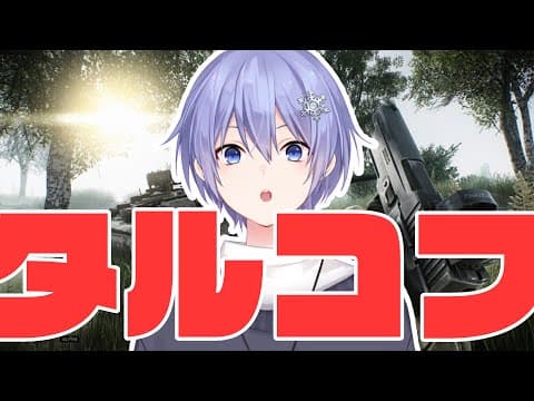 【Escape From Tarkov】ランクのために義務デイリー lv55~【白雪レイド】