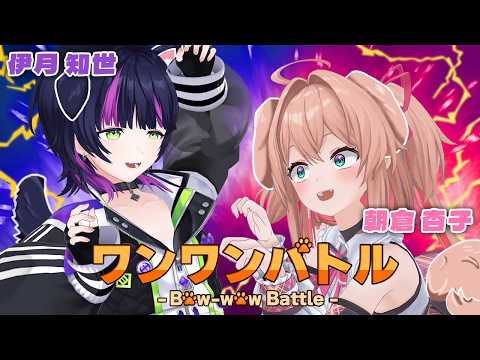伊月知世 / CHISE ITSUKI
