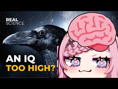 Taking IMPOSSIBLE common sense quizzes