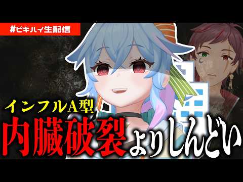 Peaky Hikers - ピーキーハイカーズ