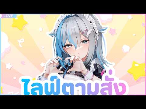 Zia Sylph Ch. / AStars Amakara