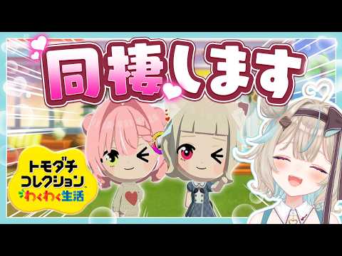 甘狼このみ / AmakamiKonomi🐺🍫