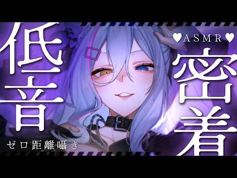 ろのみやひなぎく