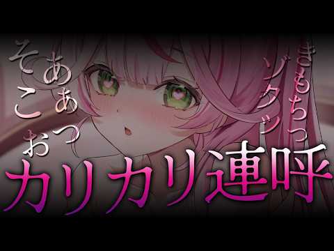 Naco Ch. 餅月なこ