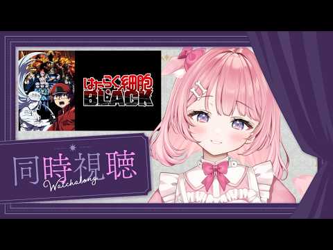 桃犬こころ-Towan Kokoro-