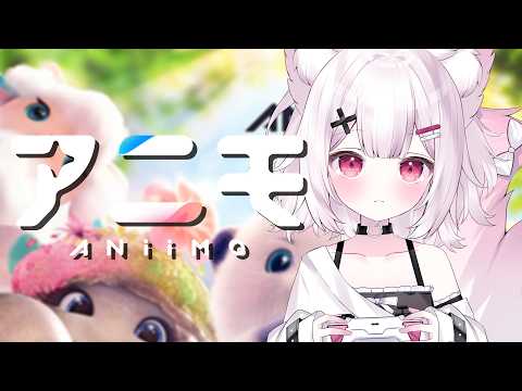 【アニモ】デイリーしたりいろいろ!CHILLのお供にどうぞ💤