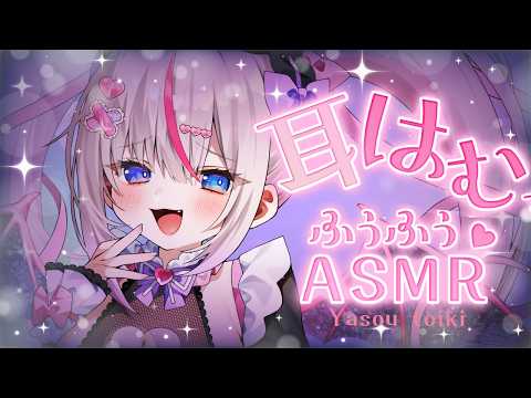 Toiki Ch. 夜想といき