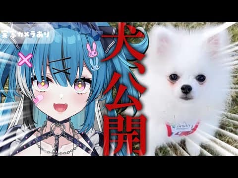 Asti ch 社不寶アスティ