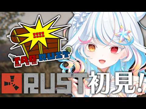 リオネ・クレイジーゼリー / Re:one CrazyJelly