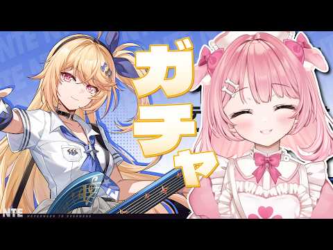 桃犬こころ-Towan Kokoro-