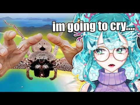 Reacting to MoreParz, Markiplier, MandJTV, and MORE?!
