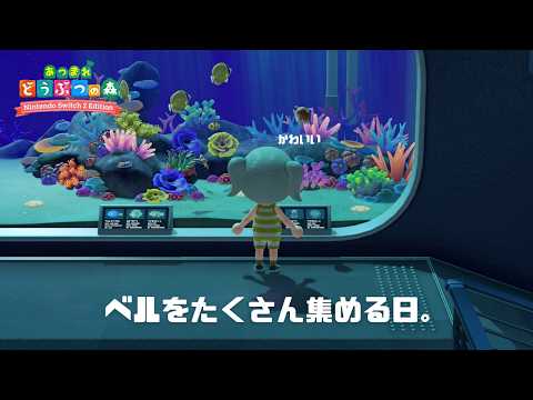 蜂蜜ぷりん / Hachimitsu Purin