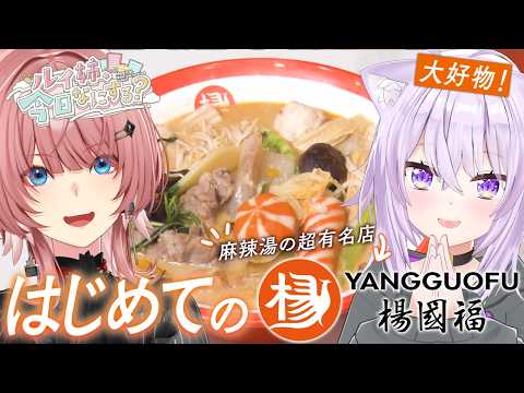 【初体験!】ねこたかで初めての楊国福麻辣湯で大好きなマーラータンを爆食✨【ルイ姉、今日なにする?】#5