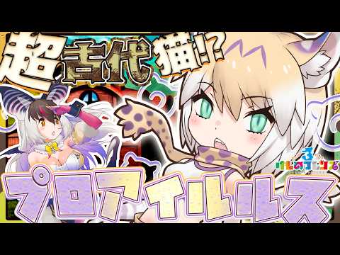 ウサギコウモリ / Brown Long-eared Bat