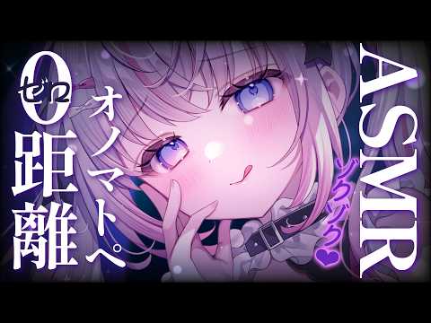 Toiki Ch. 夜想といき