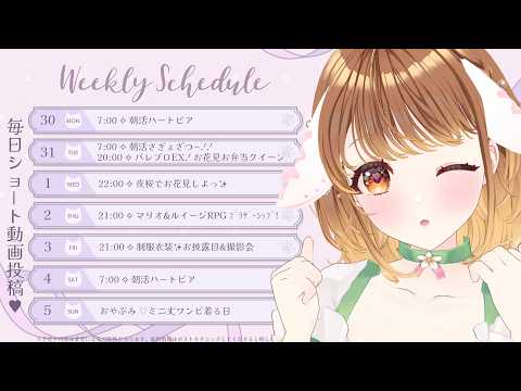 暁月クララ / Akatsuki Clara【パレプロ】