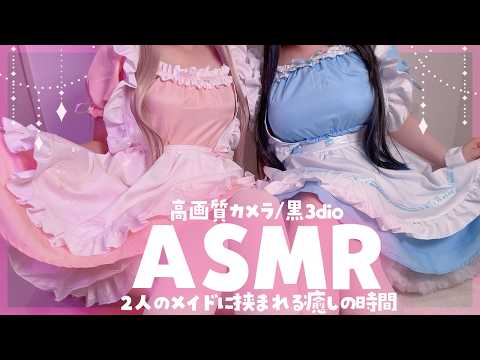 Pepero ch. / 猫田ぺぺろ
