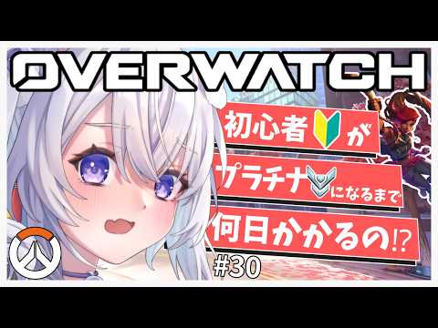 猫羽ころんNekohakoron