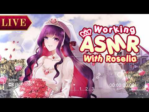 Roselia de Magentia Ch. Pixela S