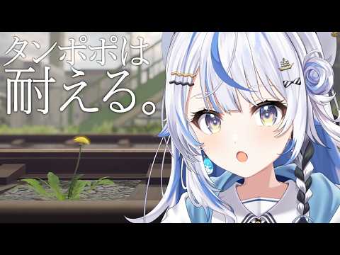 汐空なみり / Namiri Ch.