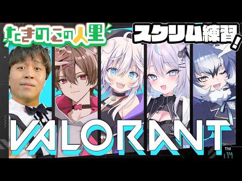 銀灰まお Mao Ch.