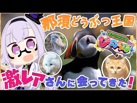 カルロ・ピノ