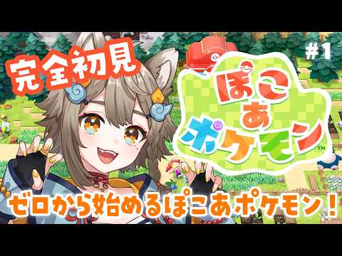 雨庭やえ / AMENIWA YAE