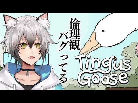 猫瀬乃しんNekozeno Shin