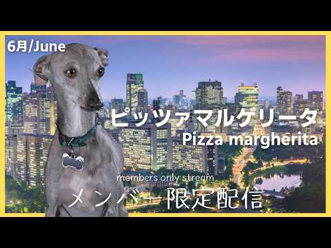 Iori Ch. 白鹿いおり【Phase Connect】